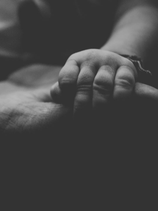 Bebé se aferra a su cuidador - apego